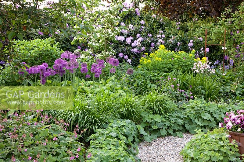 Bed with perennials and shrubs 