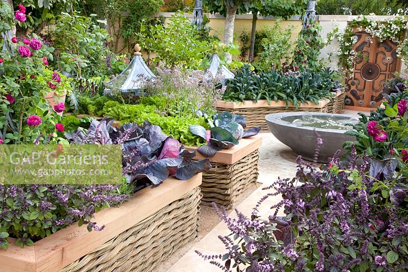 Vegetable garden in raised beds 