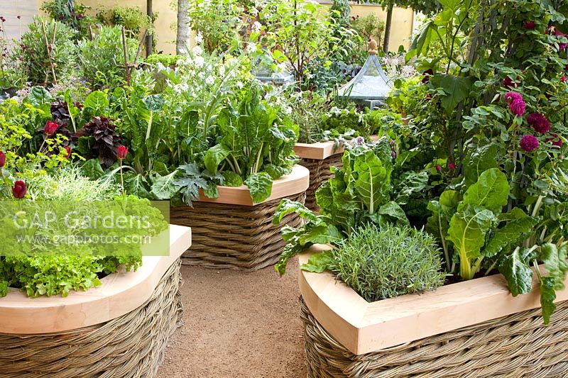 Vegetable garden in raised beds 