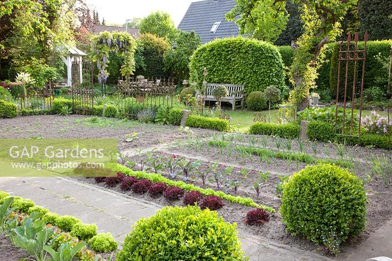 Vegetable garden and seating area 