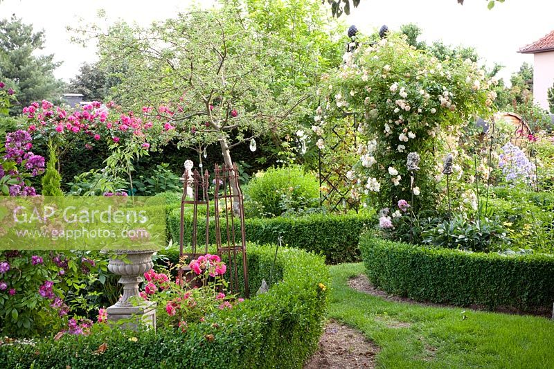 Garden with roses 