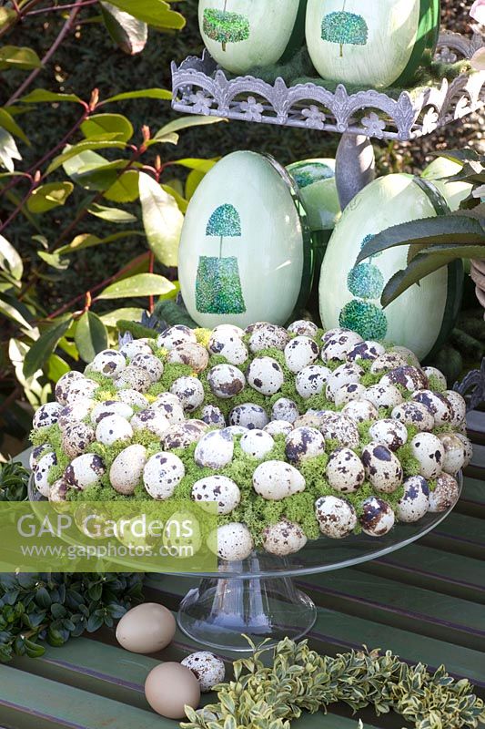 Wreath of quail eggs 