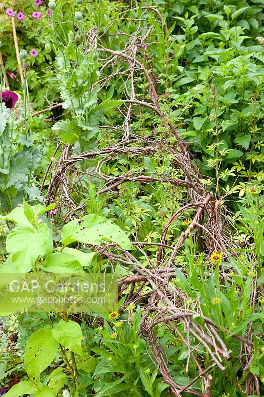 Brushwood supports for perennials 