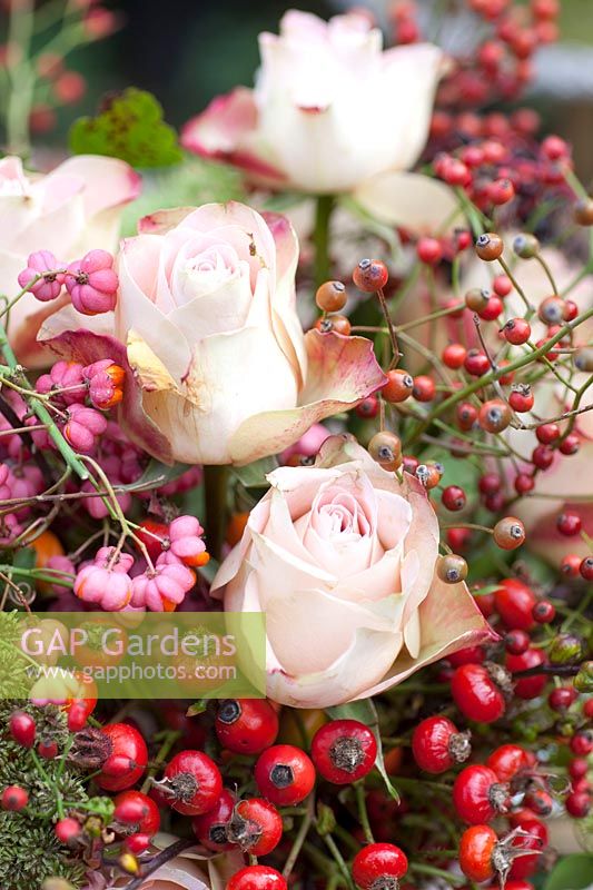 Decoration with berries and flowers, Rosa Upper Secret, Euonymus alatus 