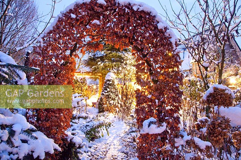 Snow-covered garden with gate made of common beech, Fagus sylvatica 