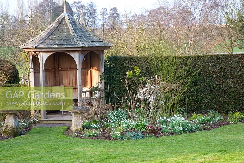 Pavilion with snowdrops, Galanthus 