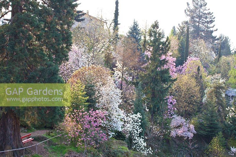 Overview Botanical Garden of Otto Eisenhut 