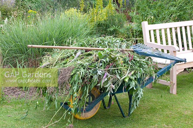 Still life, wheelbarrow with plant remains 