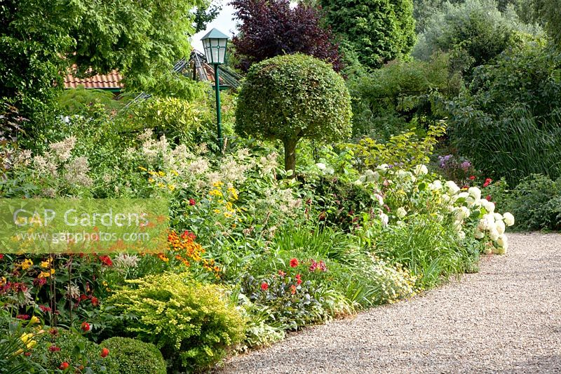 Front garden with Hydrangea arborescens Annabelle, Berberis, Helenium, Crocosmia 