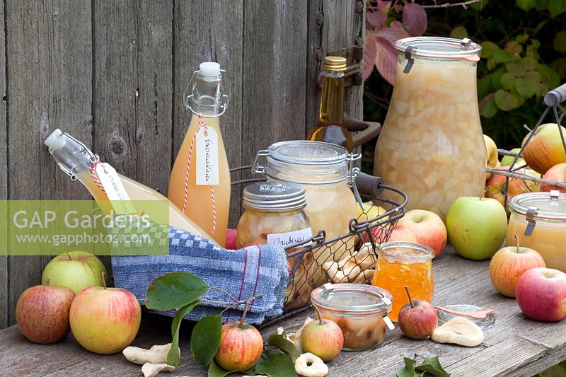 Apple juice, apple compote, apple sauce, apple chutney, apple rings, apple jam, Malus domestica Gravensteiner, Malus domestica Boskoop, Malus domestica Cox Orange 