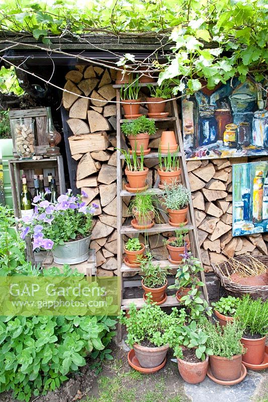 Ladder with herb pots 