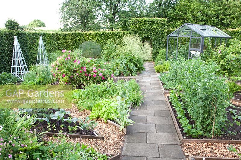 Vegetable garden with vegetables and herbs, Lactuca sativa, Pisum sativum, Brassica oleracea 