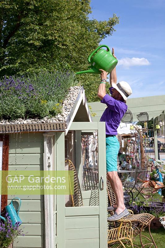 Man watering green roof at Hampton Court Flower Show 