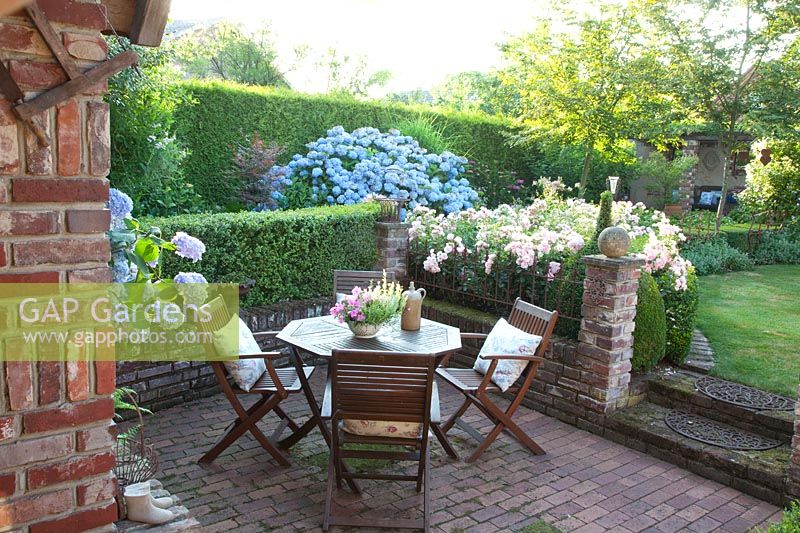 Terrace in the garden, Rosa Sommerwind, Hydrangea macrophylla Endless Summer, Buxus 
