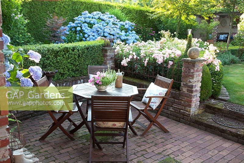 Terrace in the garden, Pink Summer Wind, Hydrangea macrophylla Endless Summer 
