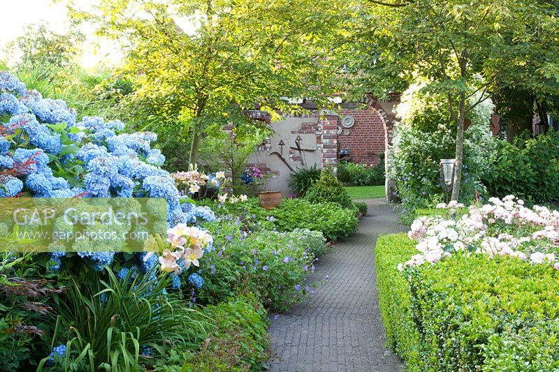 Path in the garden with archway at the end, Hydrangea macrophylla Endless Summer 