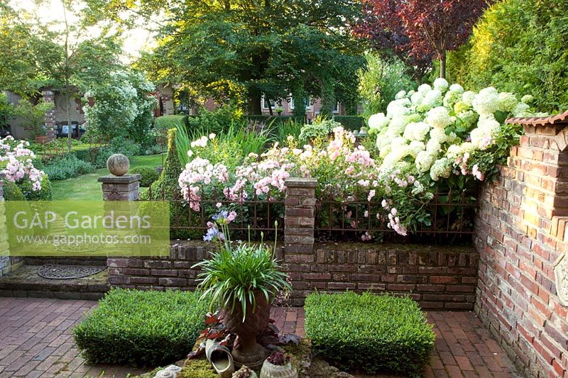View of the garden, Pink Summer Wind, Hydrangea arborescens Annabelle 