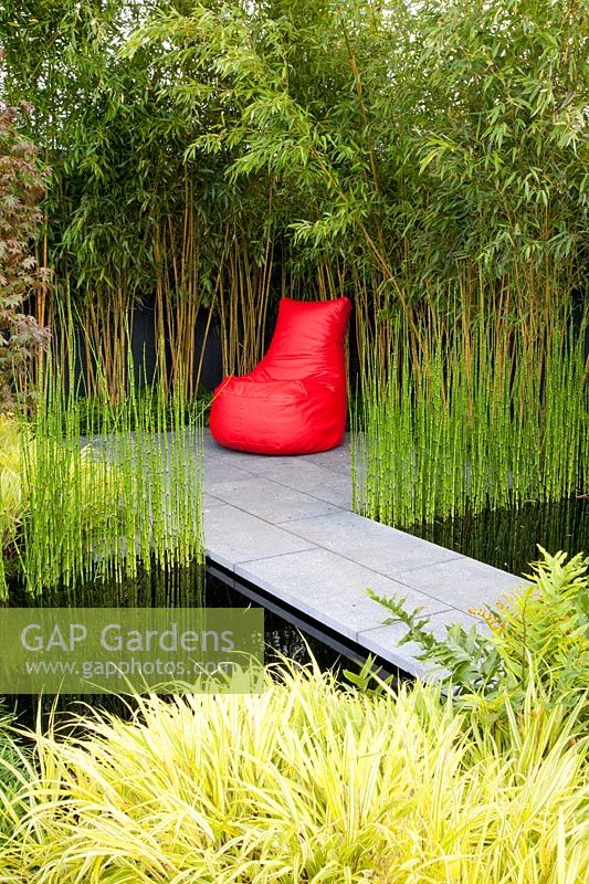 Modern water garden with bamboo and horsetail, Equisetum hyemale Robustum 