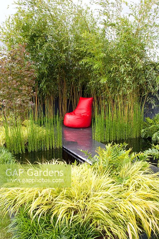 Modern water garden with bamboo and horsetail, Equisetum hyemale Robustum, Hakonechloa macra Aureola 