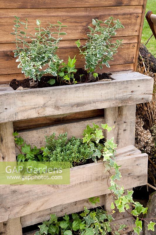 Planters made from old pallets 
