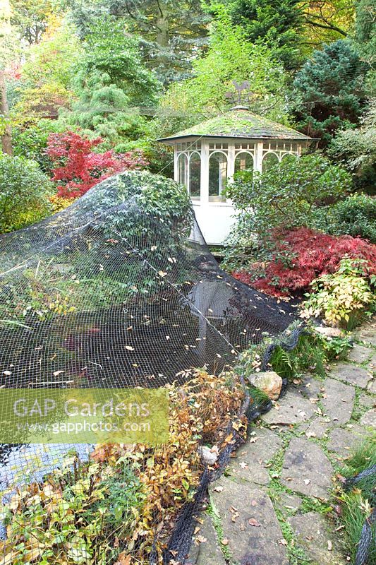 Net over pond to prevent leaf fall 