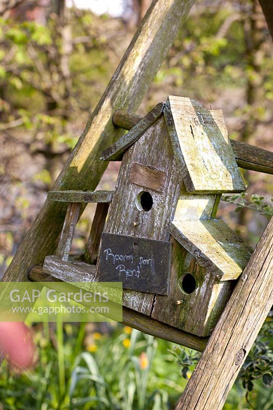 Birdhouse with saying Room for rent 
