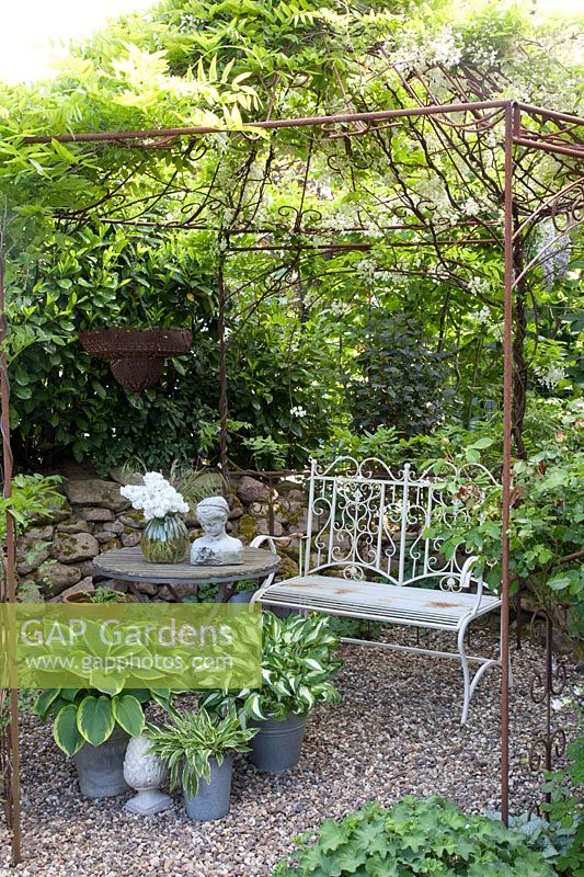 Romantic arbor with white wisteria 