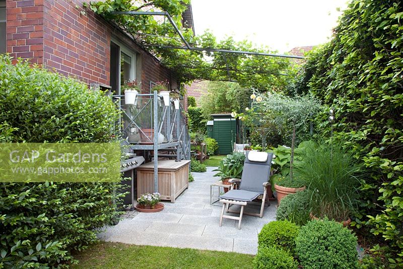Seating terrace in small garden with wine pergola, Vitis vinifera 