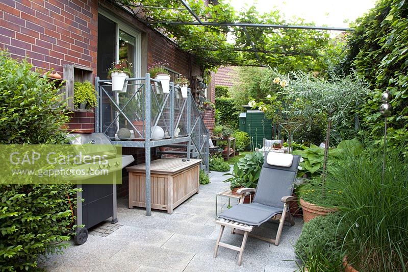 Seating terrace in small garden with wine pergola, Vitis vinifera 