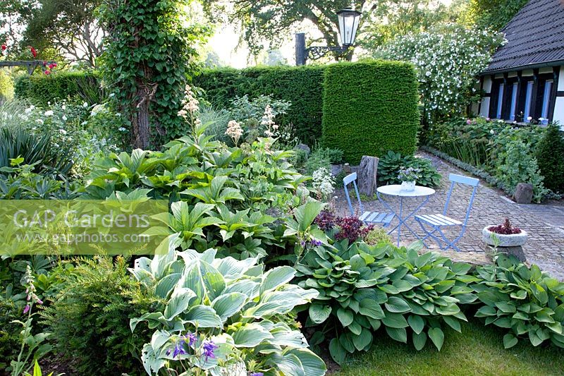 Seating area in the shade with Funkia, Hosta 