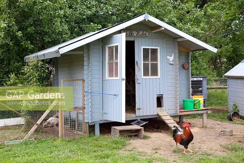 chicken coop 