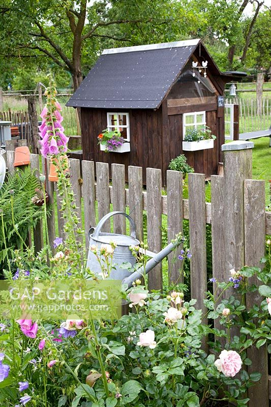 Rural garden with children's playhouse, Rosa, Campanula 