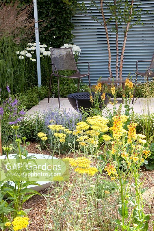 Small Gravel Garden, Achillea Terracotta, Perovskia Lacey Blue, Verbascum Clementine, Leucanthemum superbum Snowcap 
