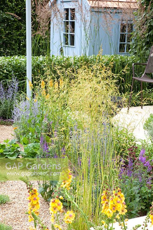 Small gravel garden, Achillea Terracotta, Perovskia Lacey Blue, Deschampsia cespitosa Goldtau, Verbascum Clementine 