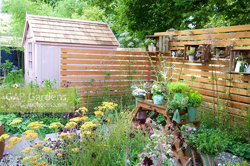 Plant table and shelves on a wooden wall, Achillea Terracotta, Astrantia major Pink Pride, Salvia sylvestris Rose Queen, Cirsium rivale Trevor's Blue Wonder 