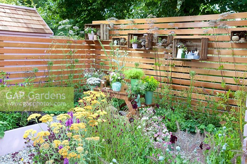 Plant table and shelves on a wooden wall, Achillea Terracotta, Astrantia major Pink Pride, Salvia sylvestris Rose Queen, Cirsium rivale Trevor's Blue Wonder 