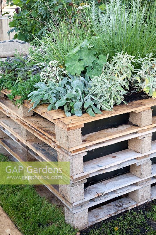 Herb bed made from pallets 