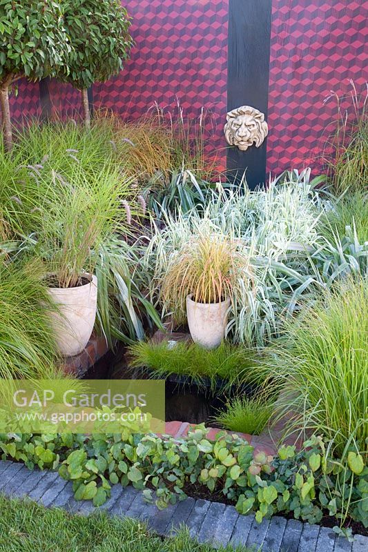 Small garden with water basin and grasses 