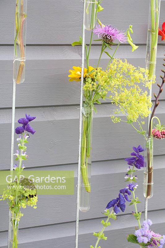 Colorful flowers in water tubes on wire ropes 