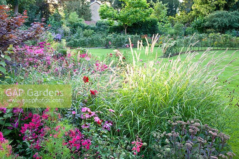 Bed with grasses and perennials 