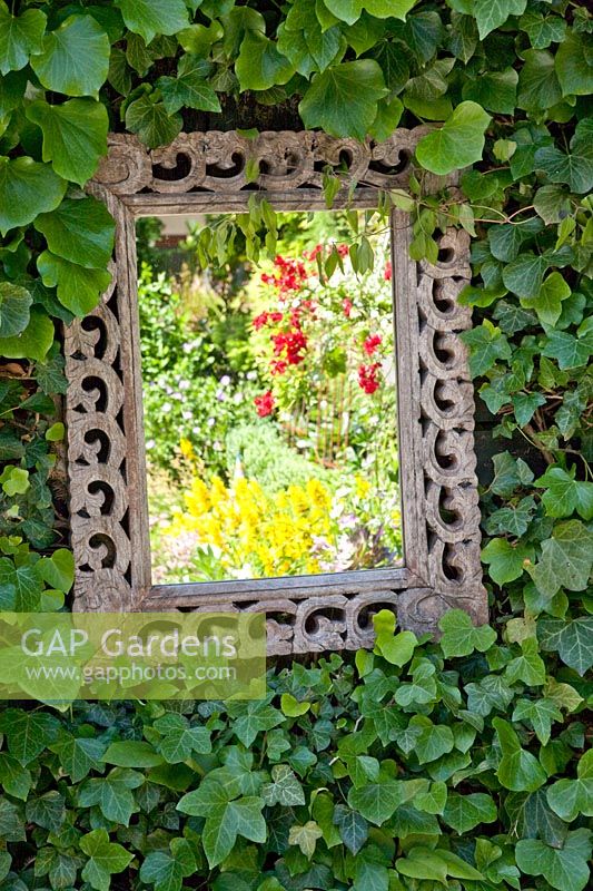 Mirror between ivy 