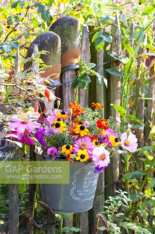 Bouquet of flowers on the garden fence 