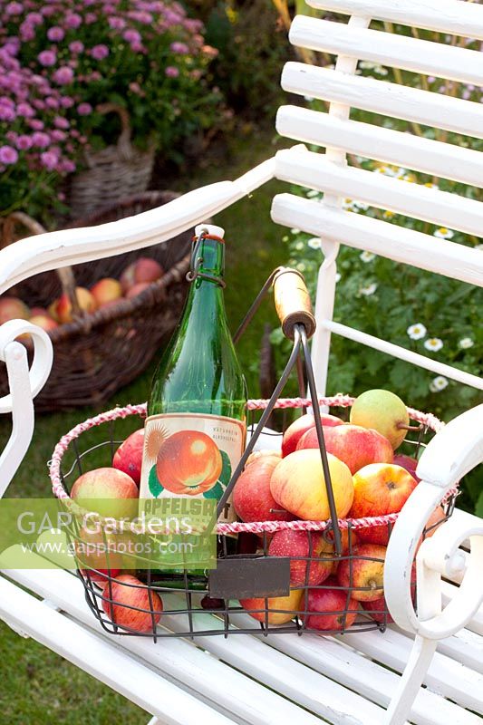 Autumn decoration with apples and old apple juice bottle 