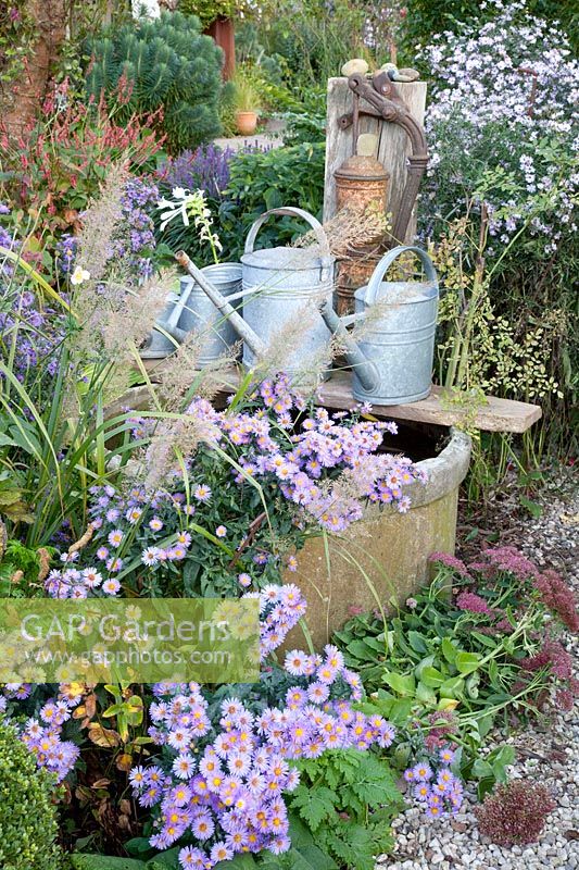 Fountain with asters and watering cans 