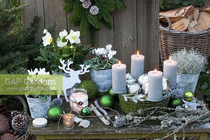Winter decoration with Christmas roses and cyclamen in pots, Helleborus niger, Cyclamen, Advent wreath in a wire basket 