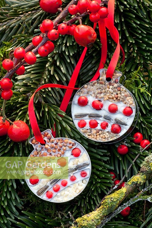 Cookie cutters filled with birdseed and holly berries 