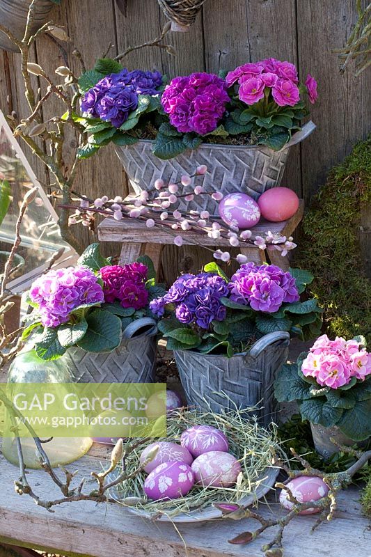 Primroses in metal pots and self-dyed Easter eggs with leaf motifs 