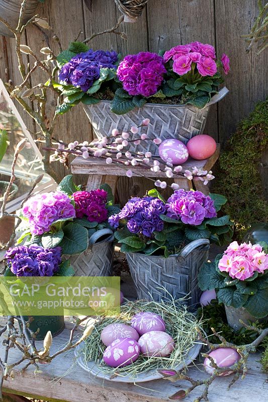 Primroses in metal pots and self-dyed Easter eggs with leaf motifs 