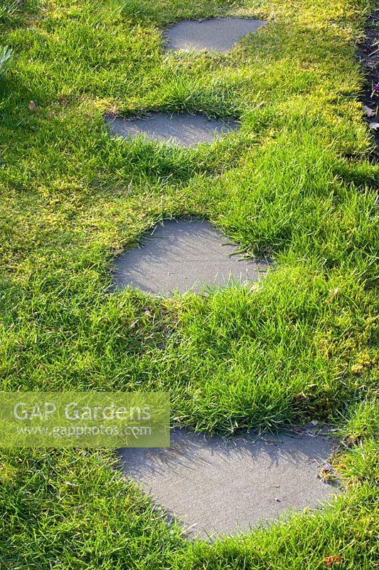 Stepping stones in the lawn 