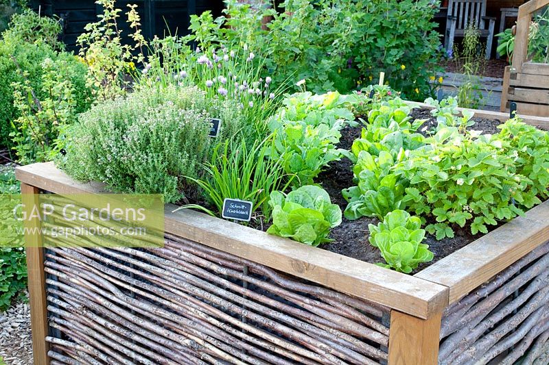 Raised bed with lettuce and herbs 
